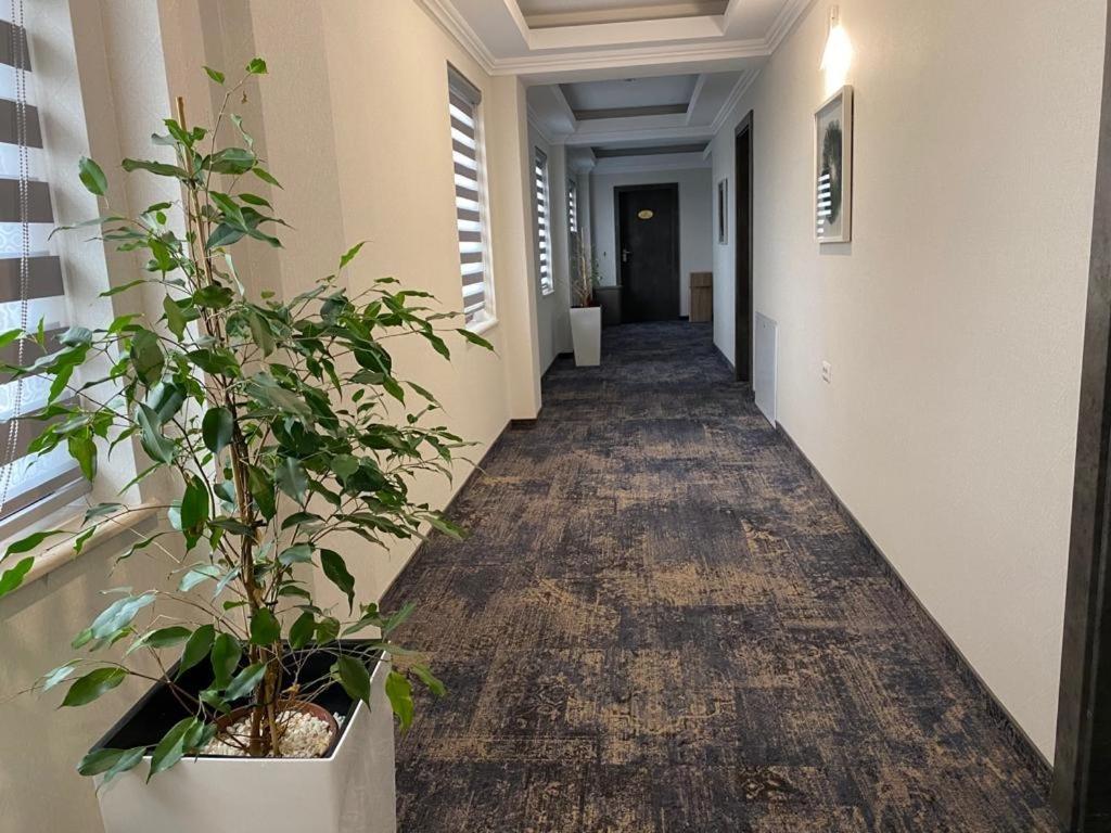 Hotel Yarus Plus โปลเยชต์ ภายนอก รูปภาพ